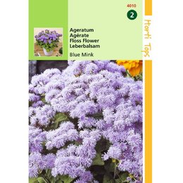 Ageratum Blue Mink