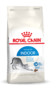 Royal canin Indoor kattenvoer